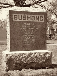 Albert John Bushong's tombstone on FindaGrave