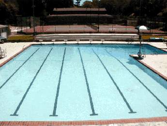 Crockett's Olympic size swimming pool.